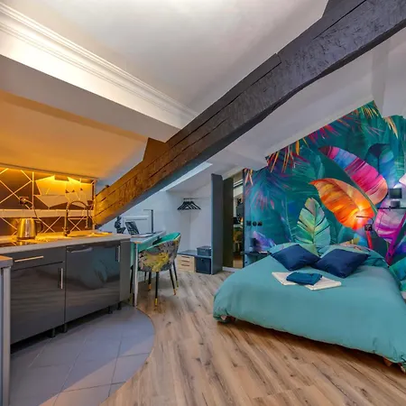 Apartment Royales - Hypercentre - Clim & Parking Tullins
